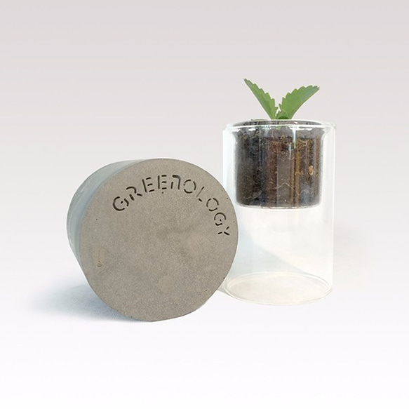 Greenologyガラスタワースタンドセメント台座の花（小） 8枚目の画像