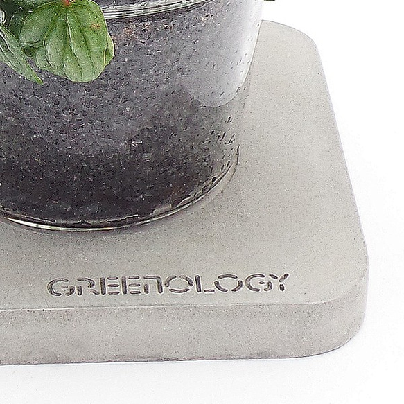 Greenology 水泥方座玻璃瓶花器 第9張的照片