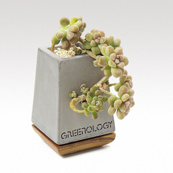 中国台湾 一輪挿し 2_6e852890888c129ca89972d7fd89