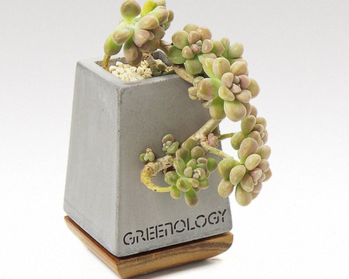 岳中爽果　緑色 陶器 一輪挿し 葉模様 岳中爽果さん作陶の器を3点買い足しました | LEE