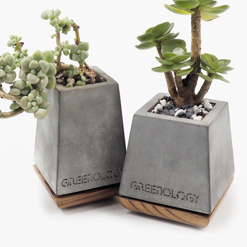 緑化セメント台形キューブフラワー（高） 一輪挿し・花瓶・花器