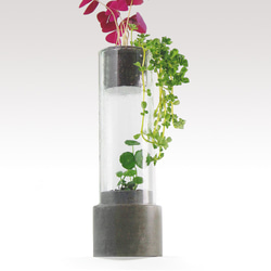 Greenology 玻璃塔立水泥座花器 (大) 第1張的照片