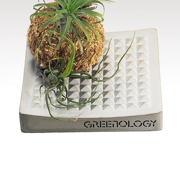 Greenology 水泥趬角肥皂碟 第6張的照片