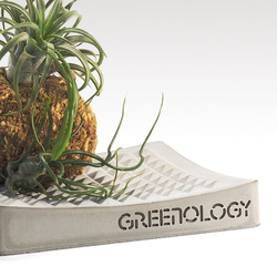 Greenology 水泥趬角肥皂碟 第7張的照片