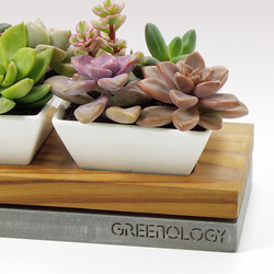 Greenology 陶瓷花器配水泥+木雙層底座 第5張的照片