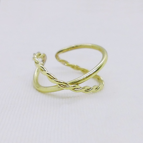 2way 交叉環和耳環（黃銅和黃銅扭曲） 第6張的照片