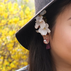 925silver Earrings with Freshwater pearls resin jewelry 2枚目の画像