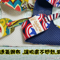 點點燙金小黑貓-寵物胸背☞【XS~M號下標區】純手工客製化 第3張的照片