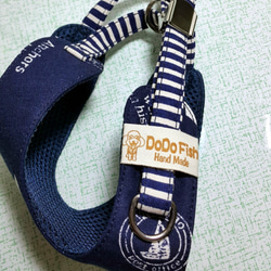 點點燙金小黑貓-寵物胸背☞【XS~M號下標區】純手工客製化 第4張的照片