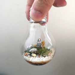 苔燈泡 把世界放進鎢絲燈泡的微景觀 第2張的照片