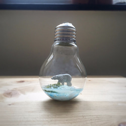 苔燈泡 把世界放進鎢絲燈泡的微景觀 第1張的照片