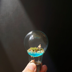 アンチ重力の苔電球 / Anti Gravity Bulb 1枚目の画像