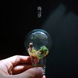 アンチ重力の苔電球 / Anti Gravity Bulb 1枚目の画像