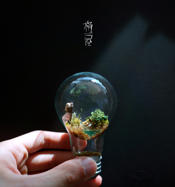 アンチ重力の苔電球 / Anti Gravity Bulb 1枚目の画像