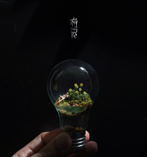 アンチ重力の苔電球 / Anti Gravity Bulb 1枚目の画像