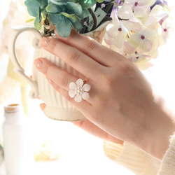 [免費送貨]光面花朵戒指（白色）免費尺寸[日本製造] 第1張的照片