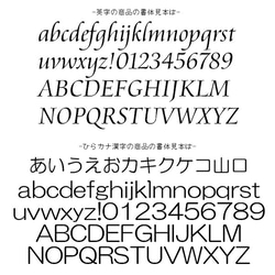 【送料無料】テディベアペット用迷子札/ネームタグ【刻印・名入れ】 6枚目の画像