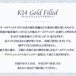 【免費送貨】K14GF（填充金）瑪麗亞白貝殼項鍊[日本製造] N-1695 第4張的照片