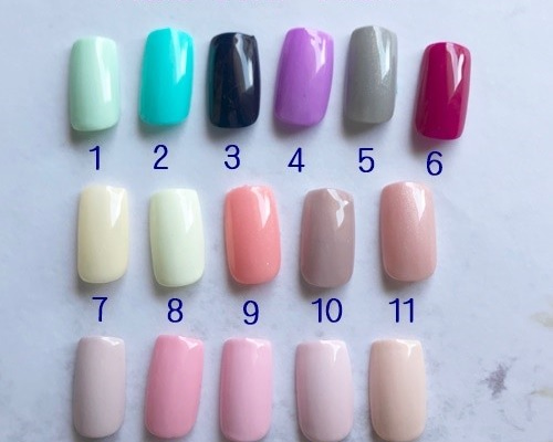 ハンド カラーチャート 16色 ネイルチップ（つけ爪） nail