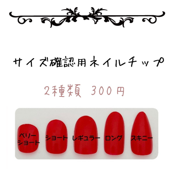サイズ確認用ネイルチップ 2種類用 その他素材 Courrege Nail