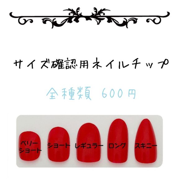 サイズ確認用ネイルチップ 全種類用 その他素材 Courrege Nail 通販  
