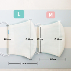 【kossori】あおぞら！布マスク 7枚目の画像