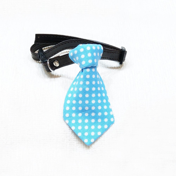 Ella Wang Design Tie 寵物 領結 領帶 貓 狗 藍色 水玉點 第1張的照片