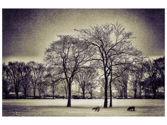 Winter scenery.【冬景色】紙 A3サイズ(297×420mm) 1枚目の画像