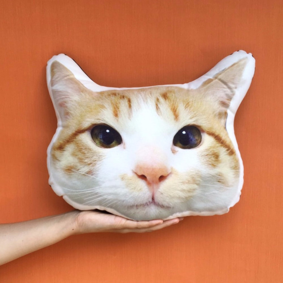 FunPrint [客製] 貓咪抱枕     生日禮物/寵物抱枕/毛小孩 第1張的照片