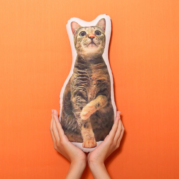 FunPrint [客製] 貓咪抱枕     生日禮物/寵物抱枕/毛小孩 第2張的照片