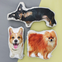 FunPrint [カスタム]犬の枕の誕生日プレゼント30センチメートル/ペット枕/ウールの子供たち 4枚目の画像