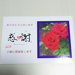 【感謝カード】ポストカード 10枚 (薔薇：赤) 1枚目の画像