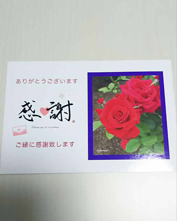 【感謝カード】ポストカード 10枚 (薔薇：赤) 1枚目の画像