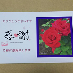 【感謝カード】ポストカード 10枚 (薔薇：赤) 3枚目の画像