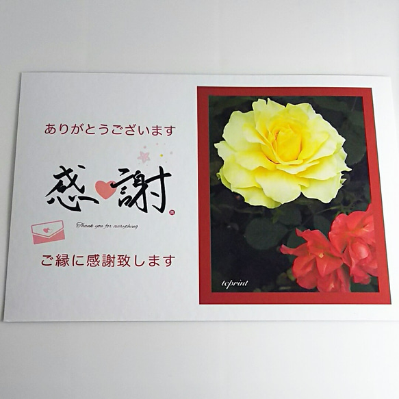 【感謝カード】メッセージカード 10枚 (薔薇：黄) 1枚目の画像