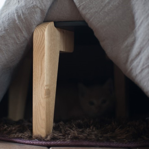 くりのねこたつ(マスタードカラーかけ布団付)猫用こたつ 子犬 くりのねこたつ(マスタードカラーかけ布団付)猫用こたつ 子犬