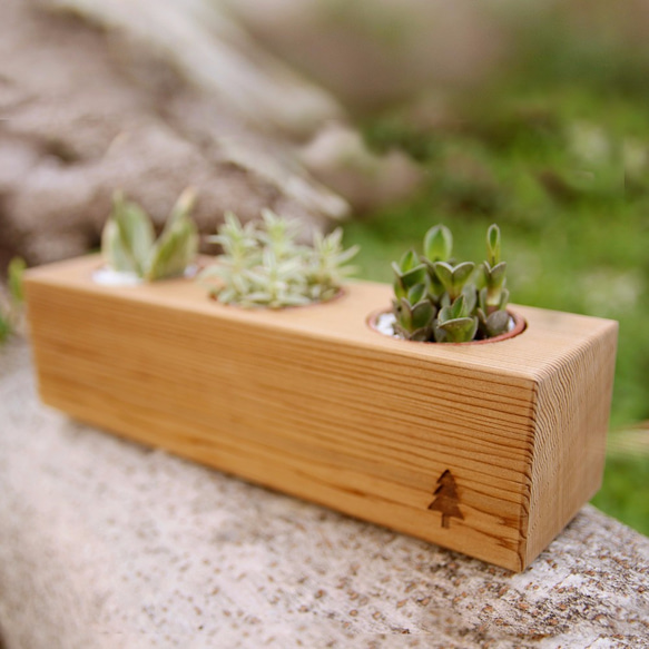 | 木樂館∥原木三孔盆栽 Wooden Flower Shelf 第2張的照片