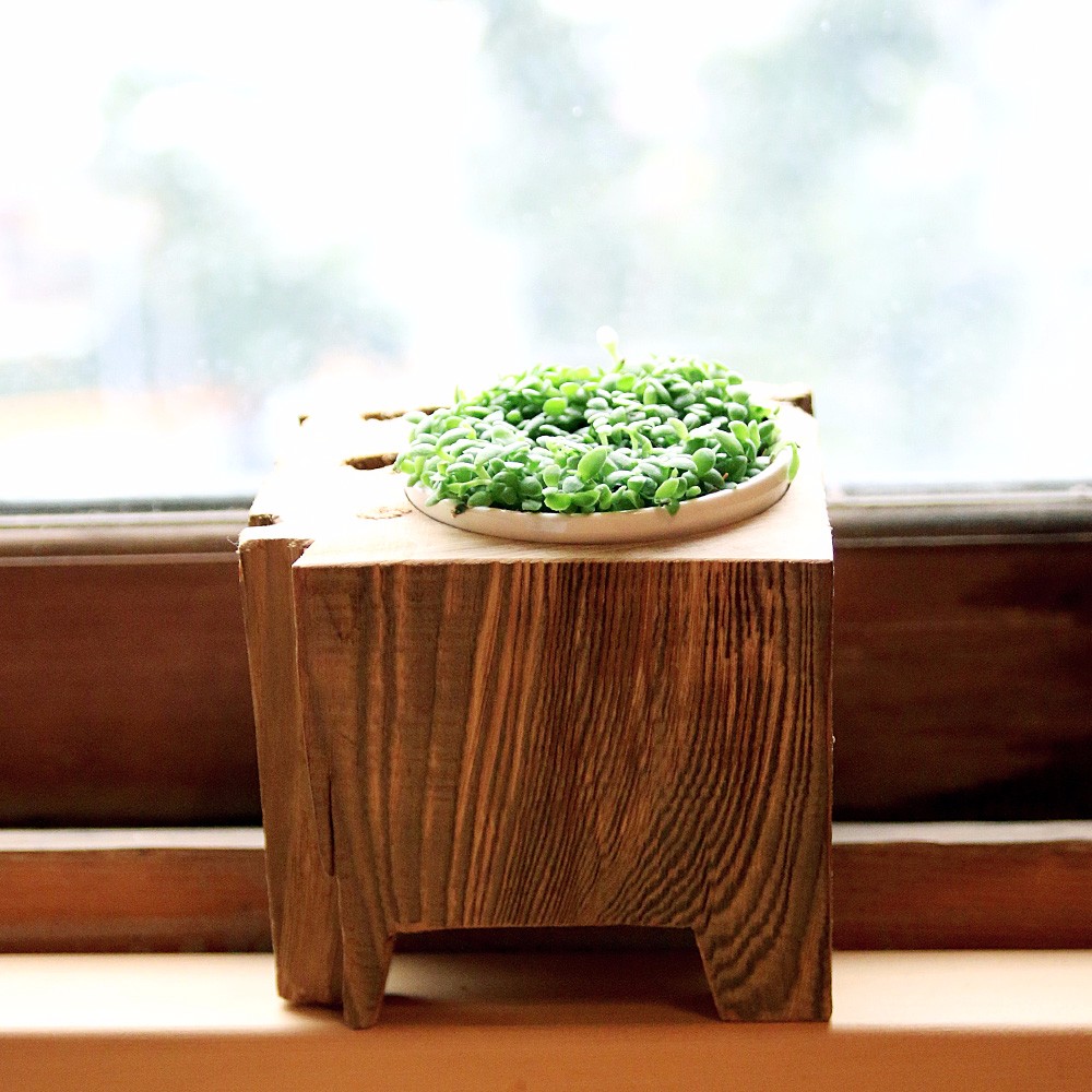 置台 天然木製 花台 供物台 飛騨春慶塗 飾台 元箱 盆栽台 未使用 華道具