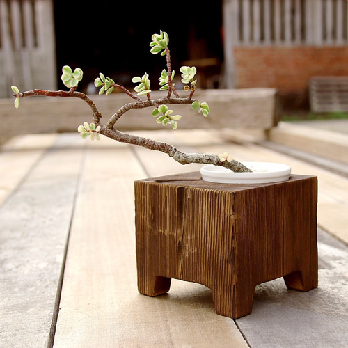 未使用 華道具 飛騨春慶塗 天然木製 花台 供物台 置台 盆栽台 飾台 元