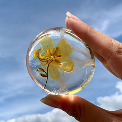 花與香氛─單入胺基酸潔顏皂禮盒【黃色蝴蝶蘭】 第1張的照片