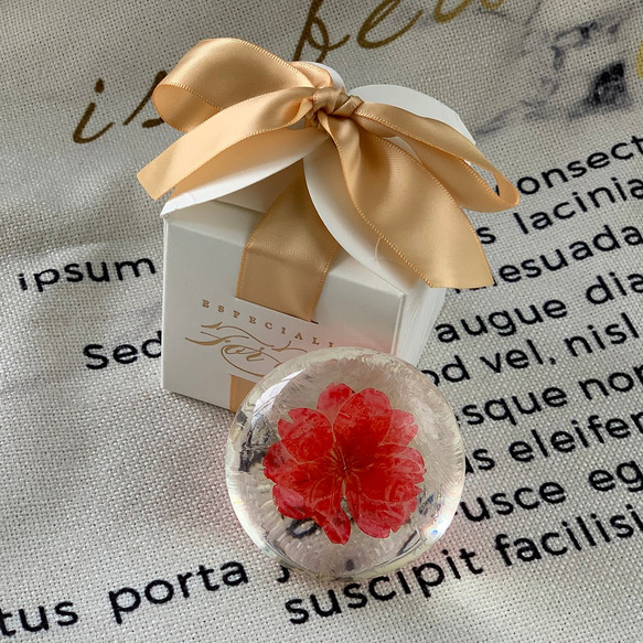 花と香り-単一アミノ酸洗顔石鹸ギフトボックス[赤い桜] 3枚目の画像