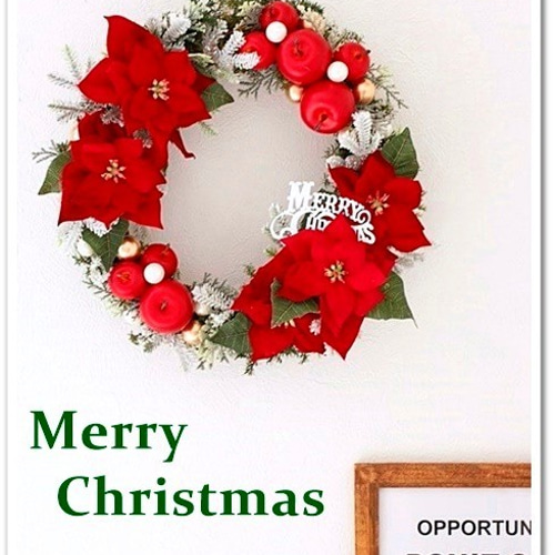 Creema限定【X'mas】やっぱりこの色！！赤いポインセチのクリスマス