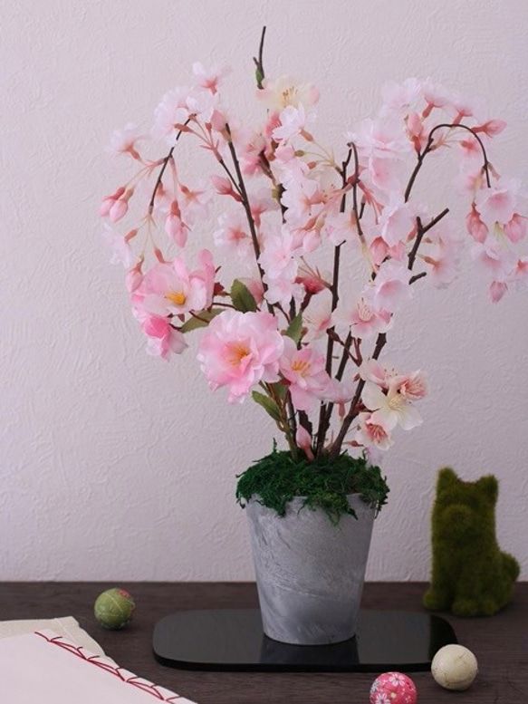 春・桜満開！！、お部屋でお花見。♪ 1枚目の画像