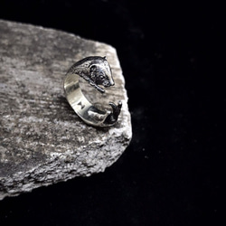 生物學/Mustela putorius furo雪貂 925純銀戒指 第1張的照片