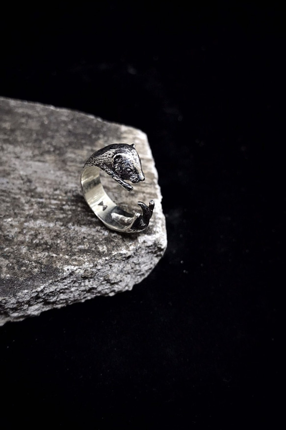 生物學/Mustela putorius furo雪貂 925純銀戒指 第1張的照片