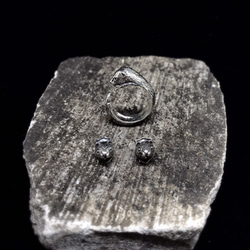 Mustela putorius furo .925 Silver rings 2枚目の画像