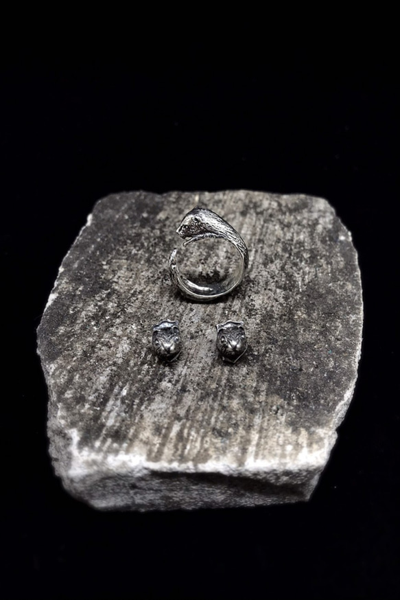 生物學/Mustela putorius furo雪貂 925純銀戒指 第2張的照片