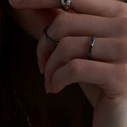生物學/Mustela putorius furo雪貂 925純銀戒指 第4張的照片