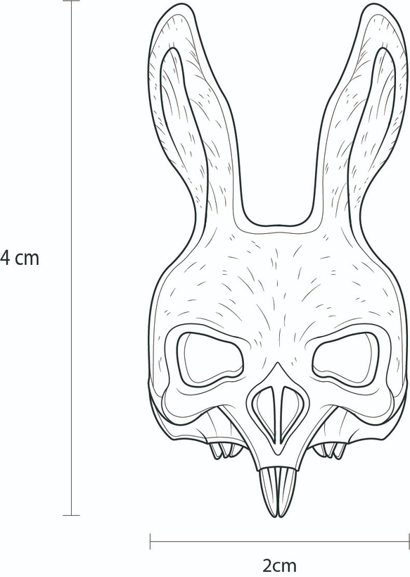 基因學/Leporidae & Homo sapiens兔科&靈長目 925純銀戒指 第5張的照片