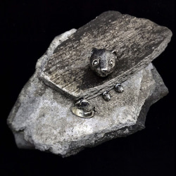 Mustela putorius furo .925 Silver rings 3枚目の画像